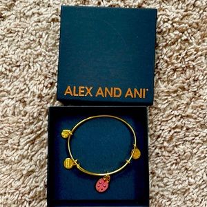 Alex and Ani Bracelet
